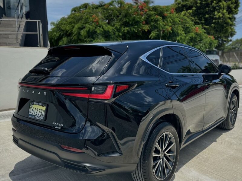 Lexus NX 250 2023