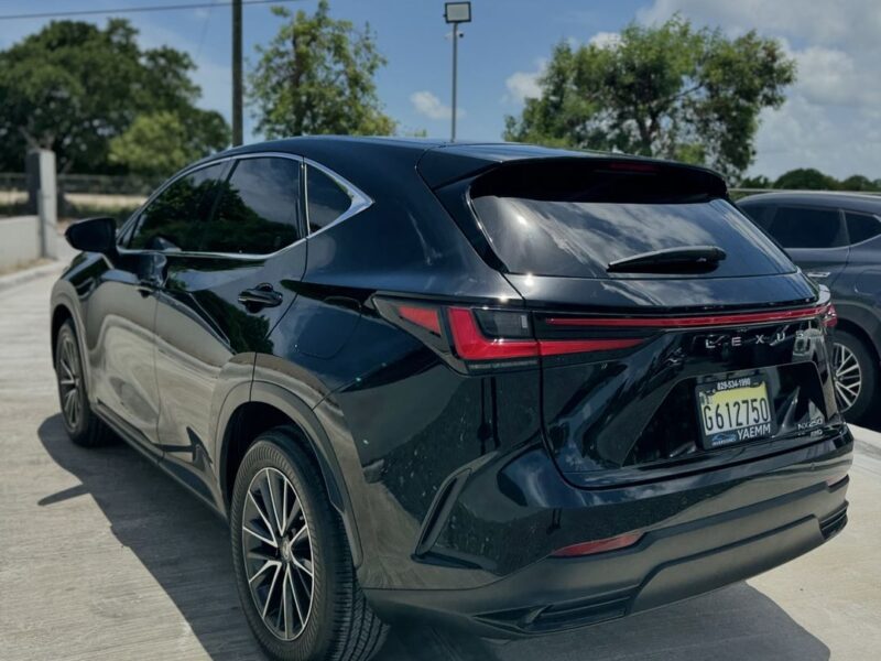 Lexus NX 250 2023