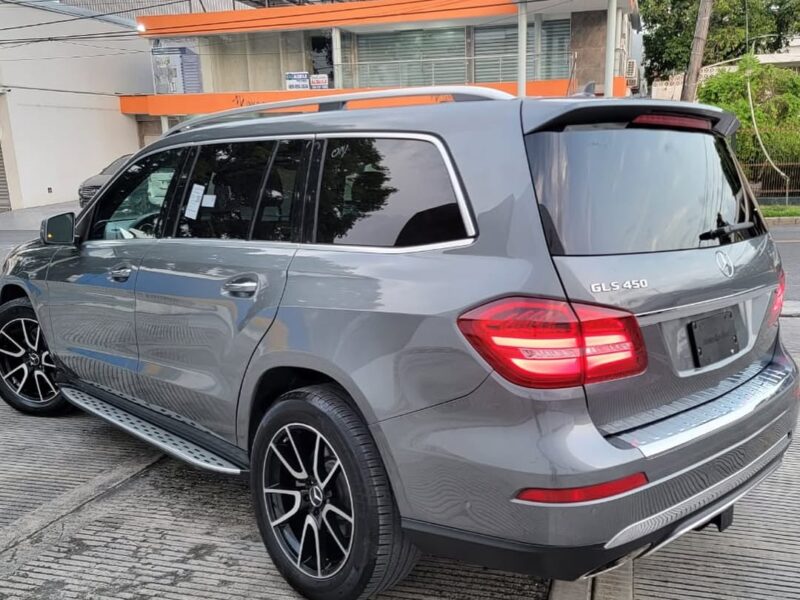 Mercedes Benz Clase GLS 450 2019